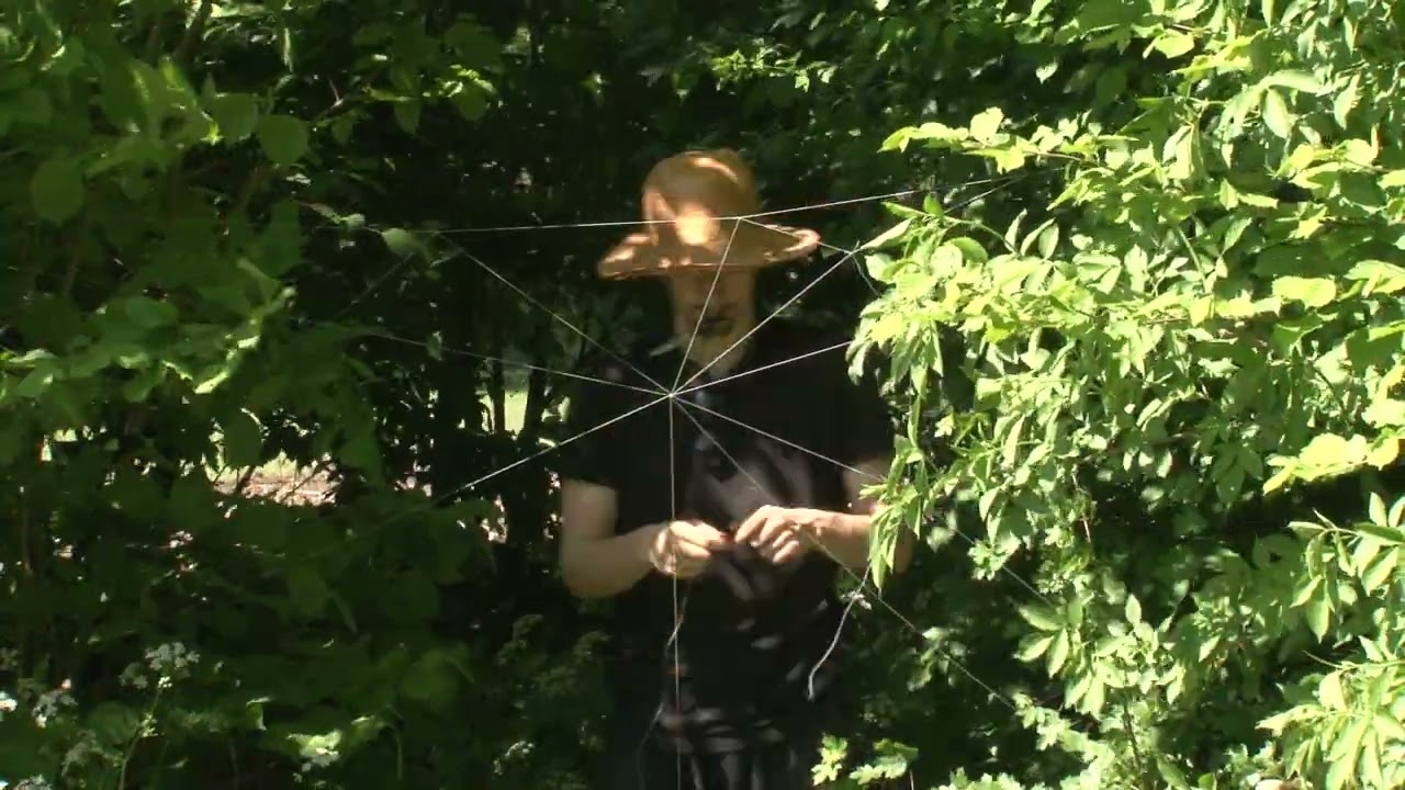 Spinnenweb